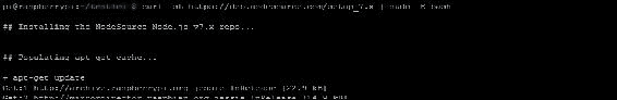 Raspberry Pi node setup